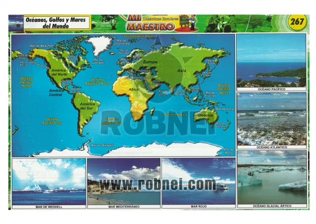Oceanos Golfos Y Mares Del Mundo